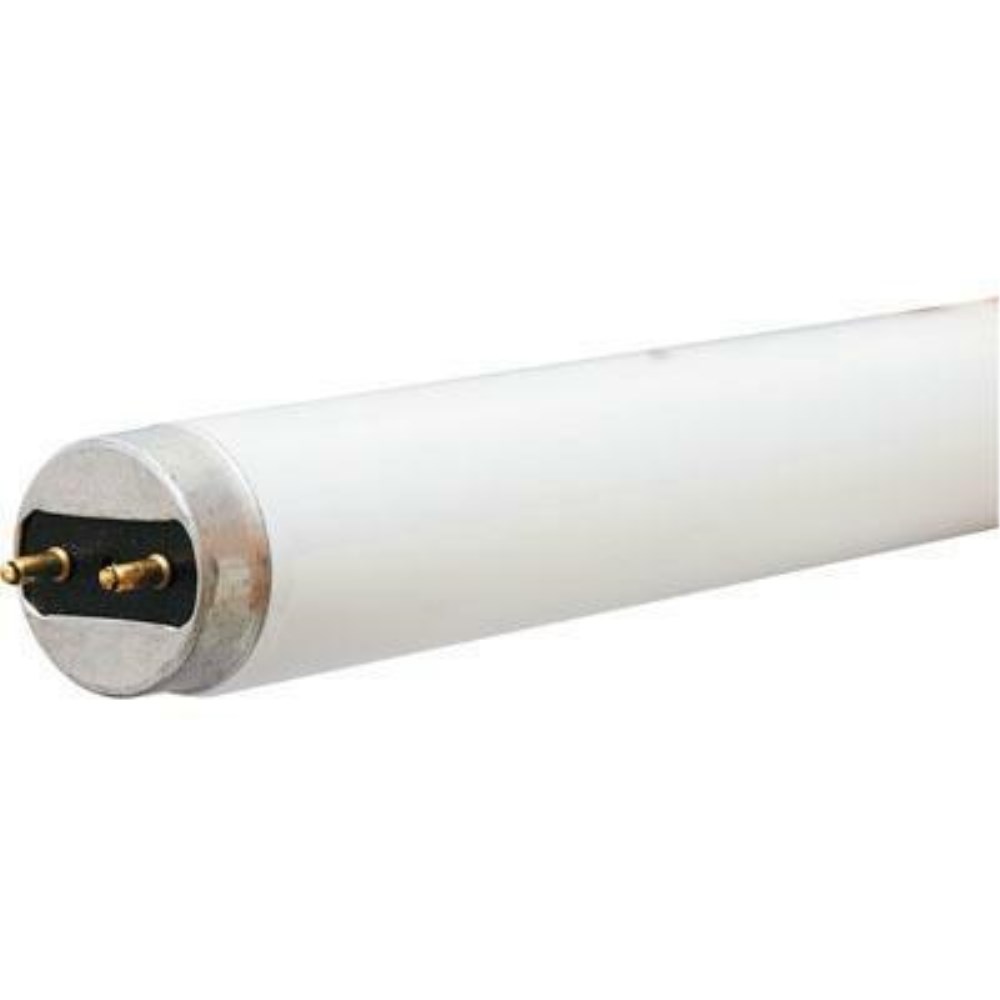 100％安い G13 BASE T8 FLUORESCENT LAMP 32W Guillevin | 4100K バッグ